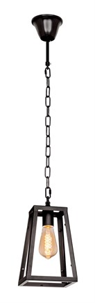 Подвесной светильник Loft it Modern Filament LOFT1127 - фото 7773