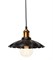Подвесной светильник Loft it Factory Filament LOFT1101 - фото 7759