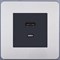 Розетка USB/C внутр. монтажа Leon (никель) - фото 88028